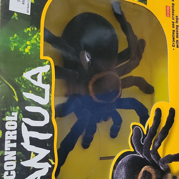 Radio Control Trantula - Picture 3 of 5